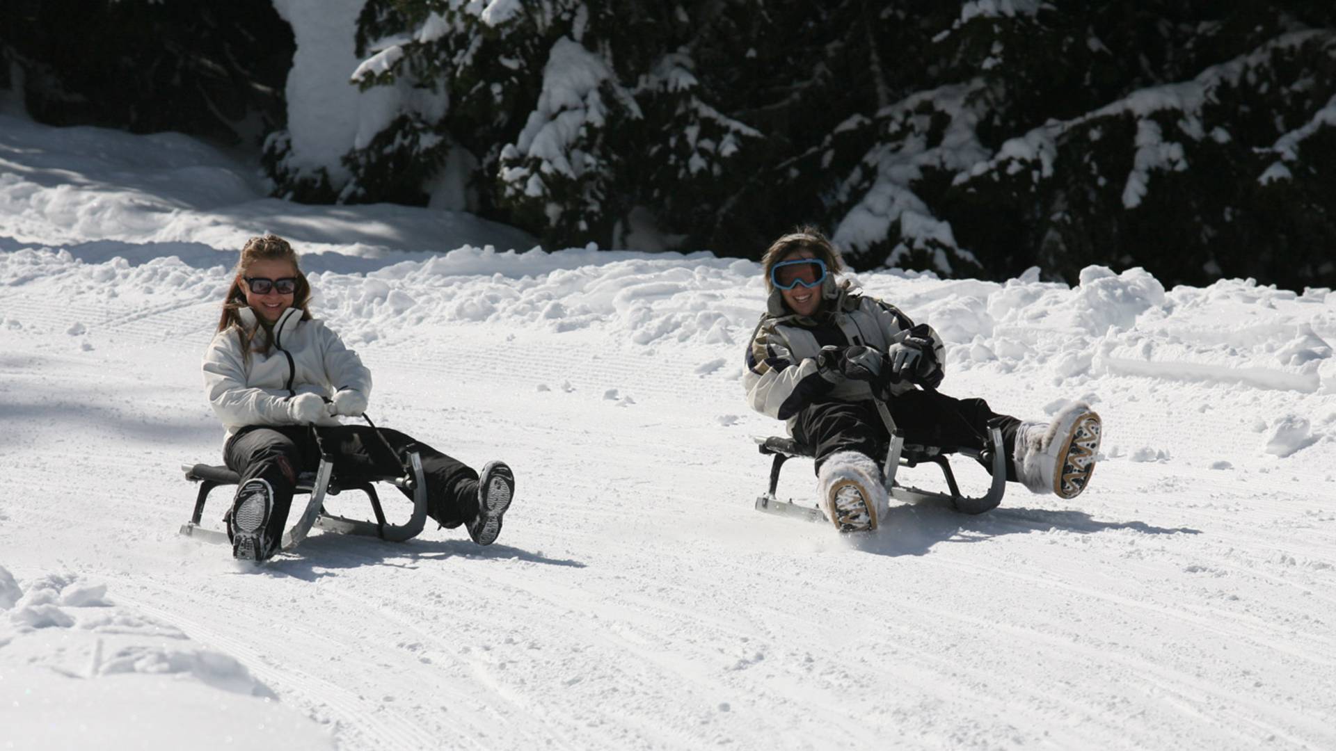 Tobogganing