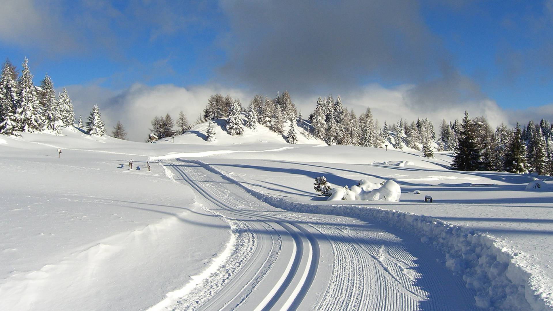 Sci di fondo & Biathlon